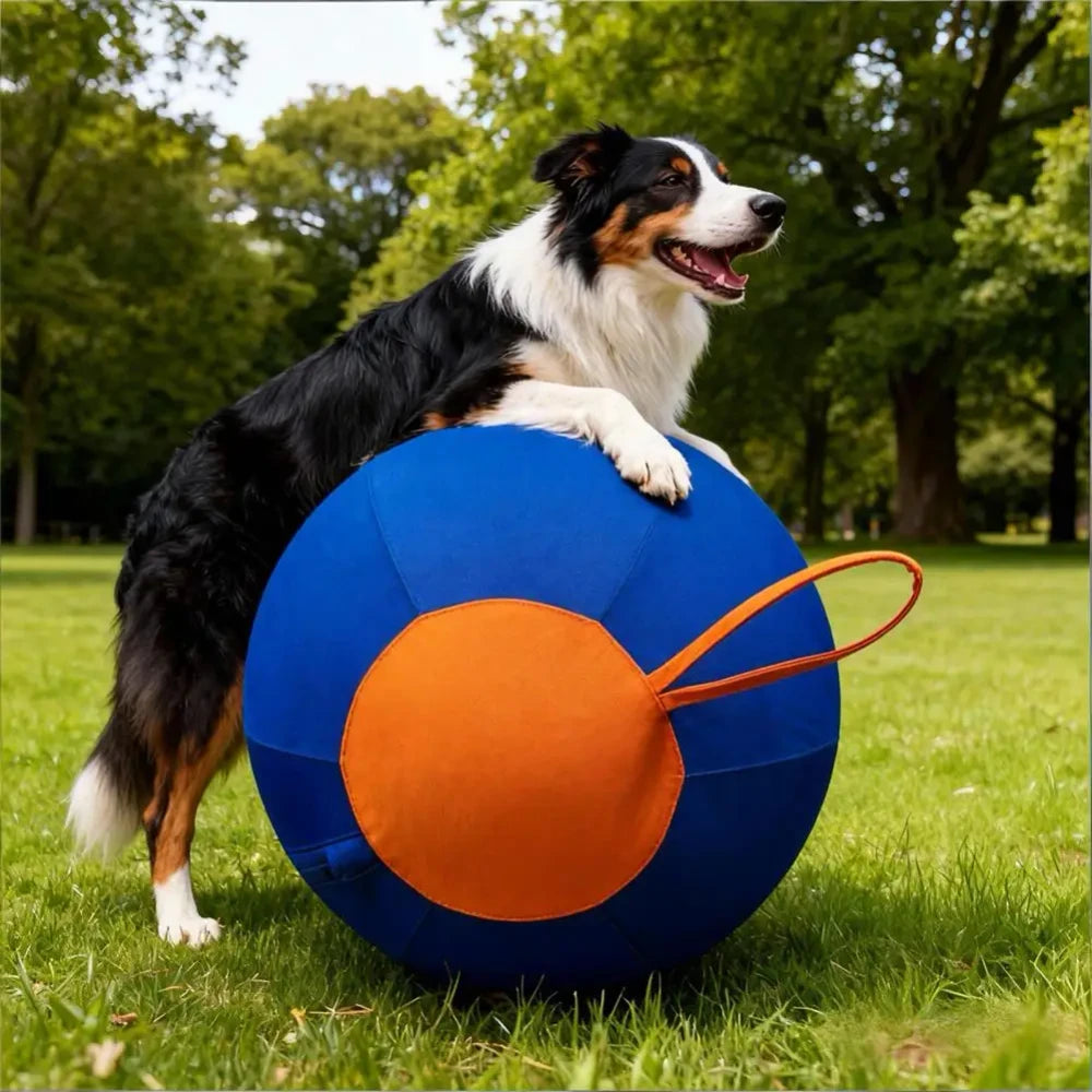 Herding Ball instinct Toy