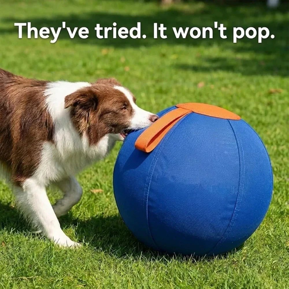 Herding Ball instinct Toy