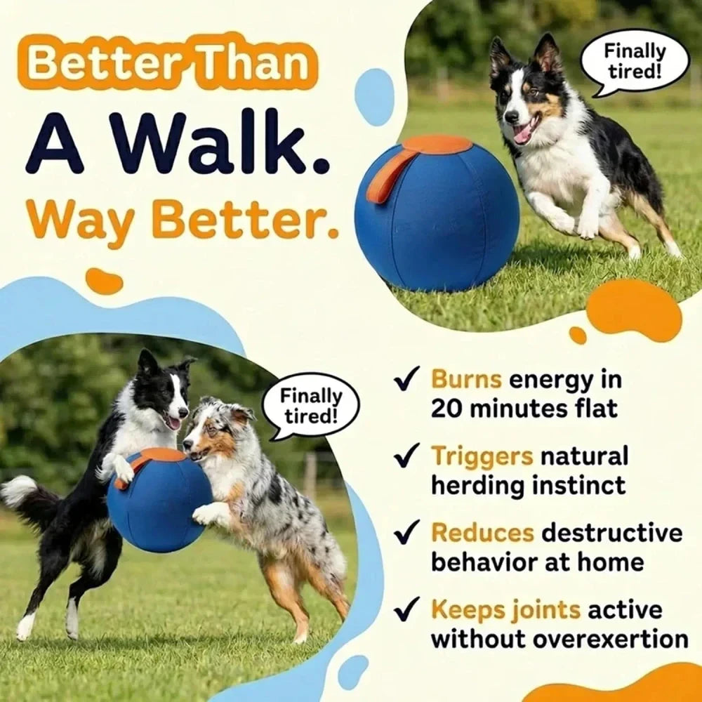 Herding Ball instinct Toy