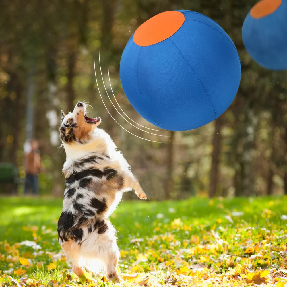 Herding Ball instinct Toy
